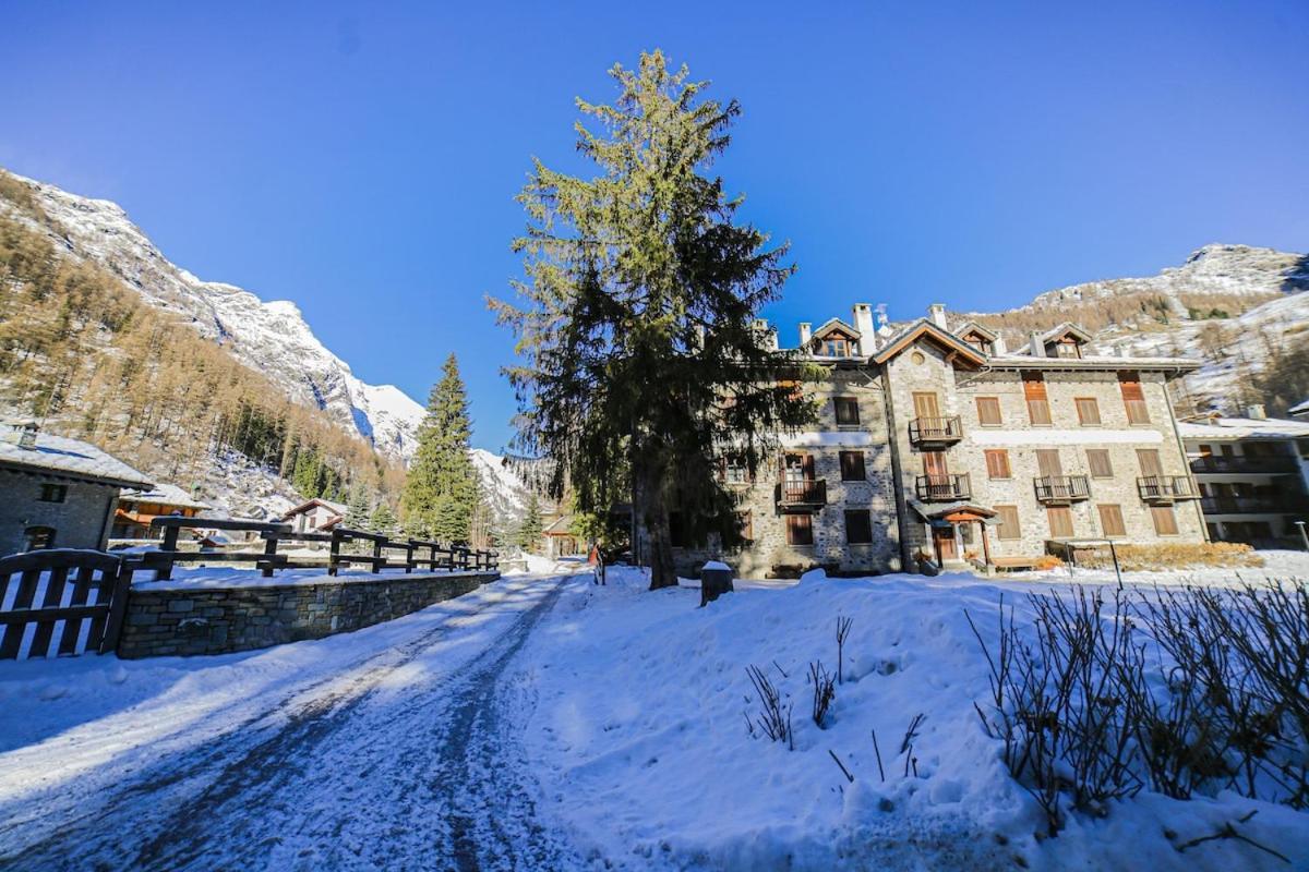 Apartament Casa Dei Larici 300M From Piste Gressoney-la-Trinité Zewnętrze zdjęcie